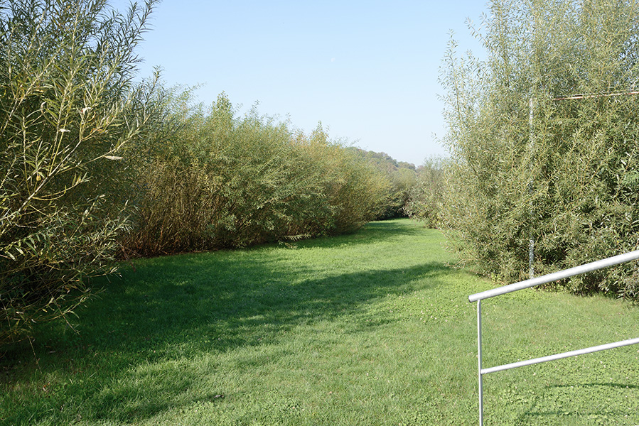 michelenastasi.com_010_28_DSC_7159