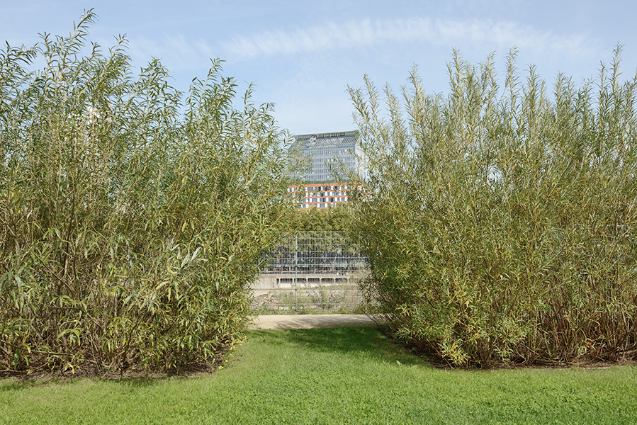 michelenastasi.com_010_29_DSC_4416